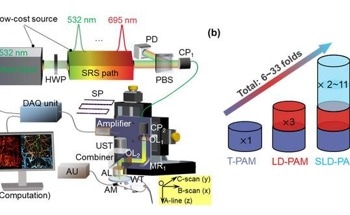 Enhancing Sensitivity in Photoacoustic Microscopy for Medical Advancements