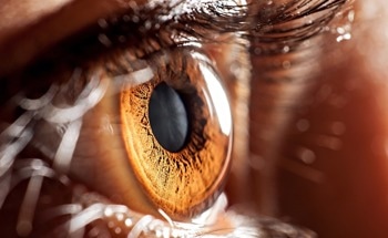 Mirroring the Image Processing Power of the Human Eye