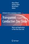 Transparent Conductive Zinc Oxide - Basics and Applications in Thin Film Solar Cells