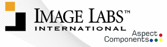 Image Labs International