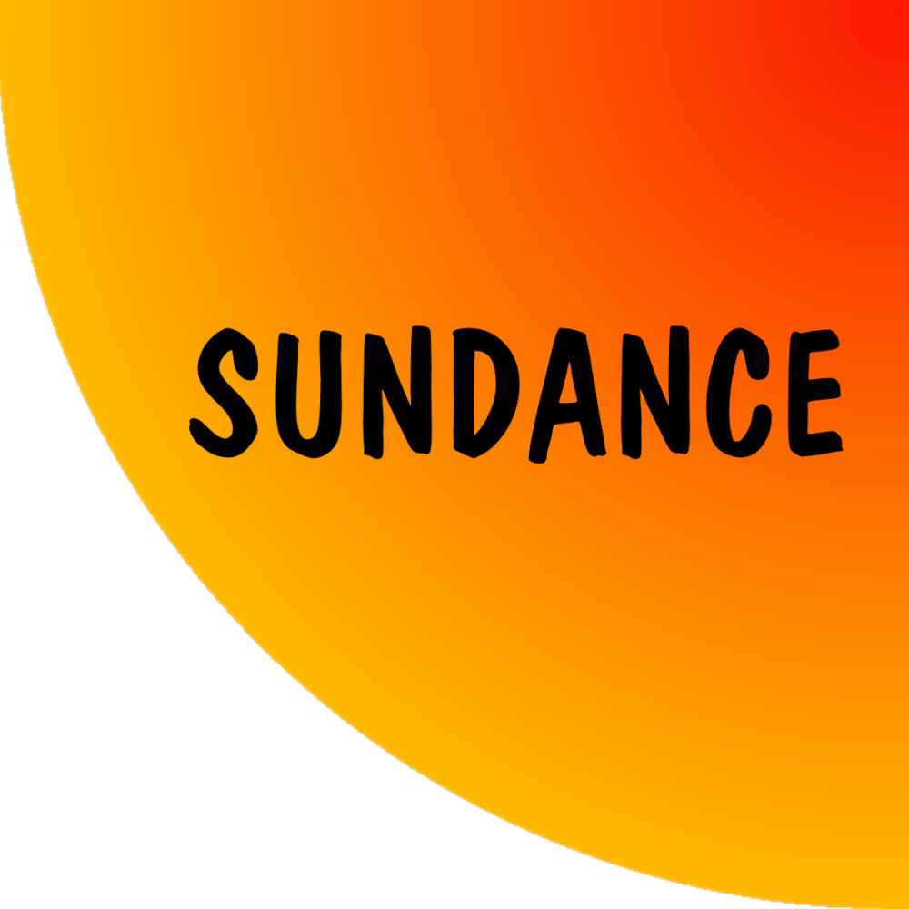 Sundance Multiprocessor Technology Ltd.